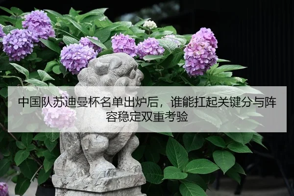 中国队苏迪曼杯名单出炉后，谁能扛起关键分与阵容稳定双重考验